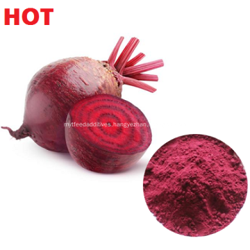 Beetroot Extract  25% Betaine Nitrate